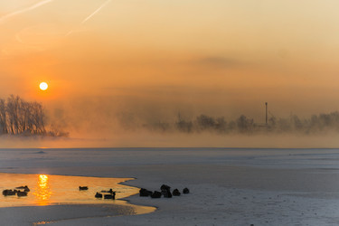 Similar image 21311821