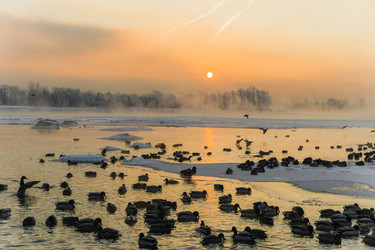 Similar image 21311825