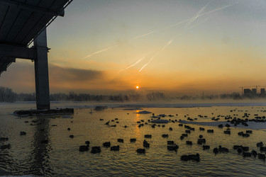 Similar image 21311827