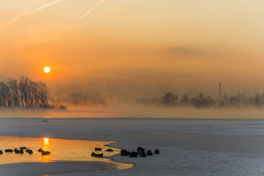 Similar image 21311829