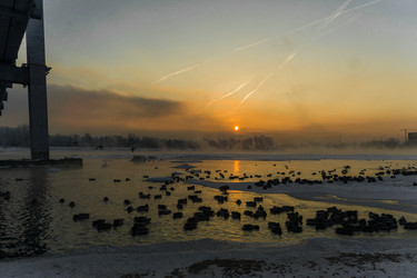 Similar image 21311831