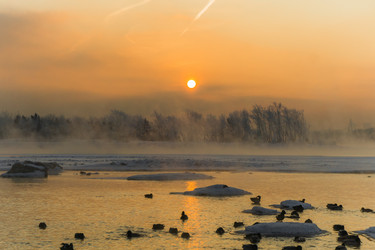 Similar image 21311833