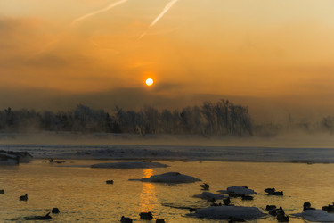 Similar image 21311834