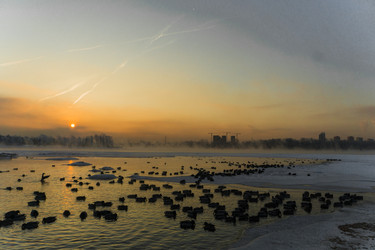 Similar image 21311835