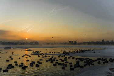 Similar image 21311839