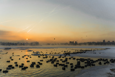 Similar image 21311842