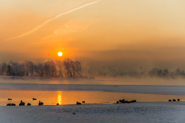 Similar image 21311843