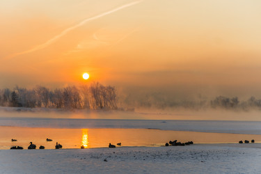 Similar image 21311844