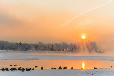 Similar image 21311849