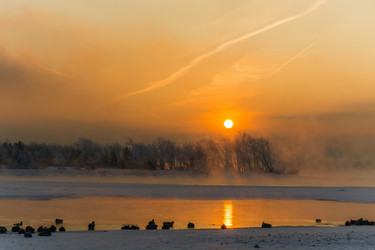 Similar image 21311850