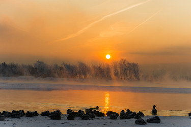 Similar image 21311851