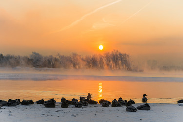 Similar image 21311852