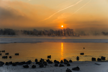 Similar image 21311853