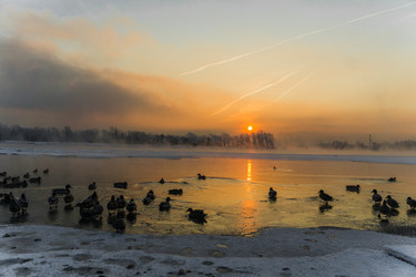 Similar image 21311854