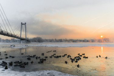 Similar image 21311855