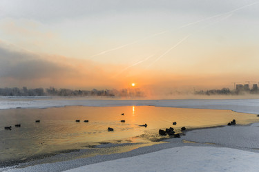 Similar image 21311858