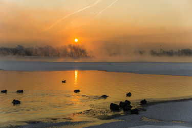 Similar image 21311859