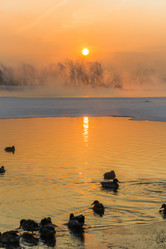 Similar image 21311862