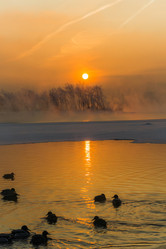 Similar image 21311864