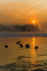 Similar image 21311866