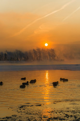 Similar image 21311867