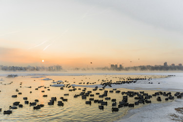 Similar image 21311869