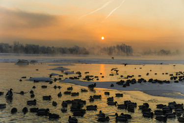 Similar image 21311874