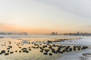 Similar image 21311876