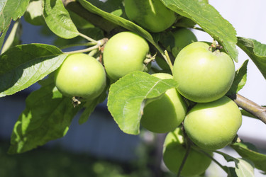 Similar image 21337857