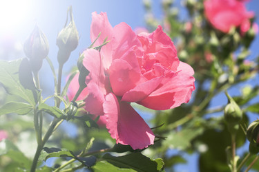 Similar image 21337859