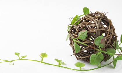 Similar image 21340080