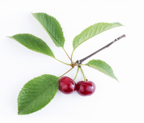 Similar image 21337863