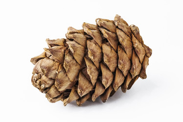 Similar image 21337864