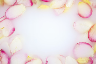 Similar image 21337866