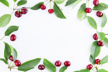 Similar image 21339252