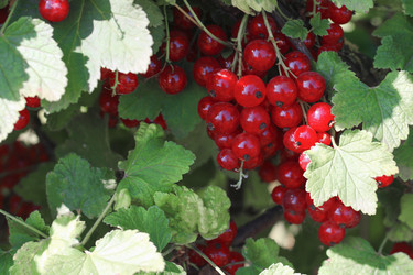 Similar image 21337868