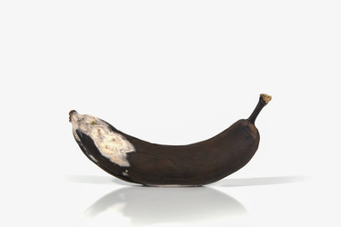 Similar image 21339254