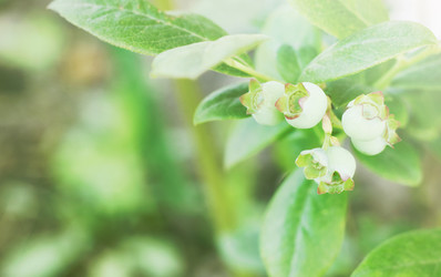 Similar image 21339259