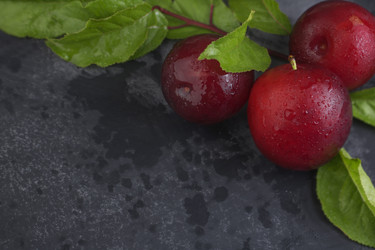 Similar image 21337880