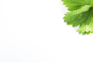 Similar image 21339261