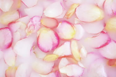 Similar image 21339263