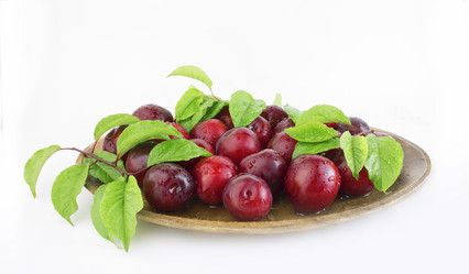 Similar image 21339549