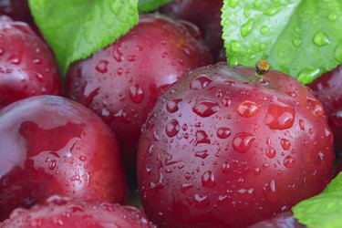 Similar image 21339550