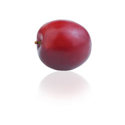 Similar image 21339553