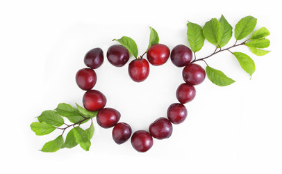 Similar image 21339554