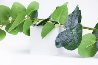 Similar image 21335009