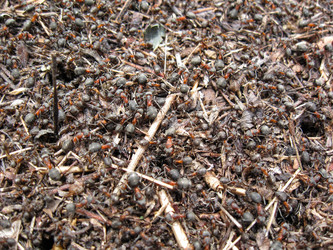 Similar image 21310955