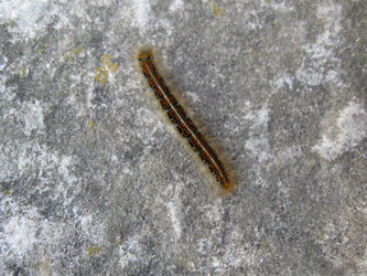 Similar image 21310957