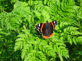 Similar image 21310958