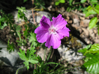 Similar image 21310963